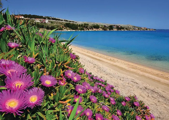 Cozy In Pag With Kitchen Pag Town